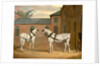 Grey carriage horses in the coachyard at Putteridge Bury by John Frederick Herring