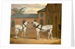 Grey carriage horses in the coachyard at Putteridge Bury by John Frederick Herring