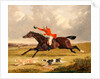 Foxhunting: Encouraging Hounds Capping Hounds and Full Cry by John Frederick Herring