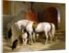 Favourites, the Property of H.R.H. Prince George of Cambridge by Sir Edwin Henry Landseer