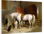 Favourites, the Property of H.R.H. Prince George of Cambridge by Sir Edwin Henry Landseer