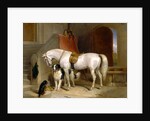 Favourites, the Property of H.R.H. Prince George of Cambridge by Sir Edwin Henry Landseer