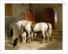 Favourites, the Property of H.R.H. Prince George of Cambridge by Sir Edwin Henry Landseer