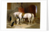 Favourites, the Property of H.R.H. Prince George of Cambridge by Sir Edwin Henry Landseer