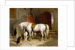 Favourites, the Property of H.R.H. Prince George of Cambridge by Sir Edwin Henry Landseer