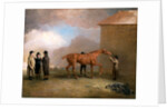 Muly Moloch being rubbed down at Newmarket by Benjamin Marshall