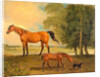 Broodmare with Foal, and a Terrier by Benjamin Marshall