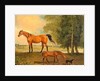 Broodmare with Foal, and a Terrier by Benjamin Marshall