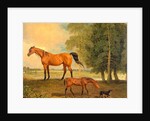 Broodmare with Foal, and a Terrier by Benjamin Marshall