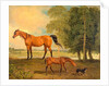 Broodmare with Foal, and a Terrier by Benjamin Marshall