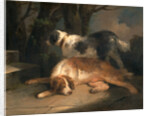 Setters Retrievers by George Morland