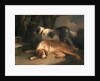 Setters Retrievers by George Morland