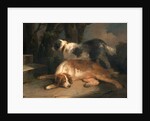 Setters Retrievers by George Morland