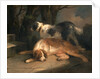 Setters Retrievers by George Morland
