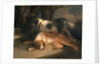 Setters Retrievers by George Morland