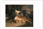 Setters Retrievers by George Morland