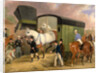 The Derby Pets: The Arrival by James Pollard