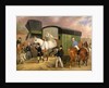 The Derby Pets: The Arrival by James Pollard