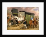 The Derby Pets: The Arrival by James Pollard