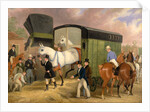 The Derby Pets: The Arrival by James Pollard