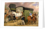 The Derby Pets: The Arrival by James Pollard