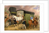 The Derby Pets: The Arrival by James Pollard