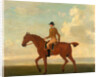 One of Four Portraits of Horses - a Chestnut Racehorse with Jockey Up by James Seymour