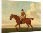One of Four Portraits of Horses - a Chestnut Racehorse with Jockey Up by James Seymour