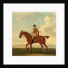 One of Four Portraits of Horses - a Chestnut Racehorse with Jockey Up by James Seymour