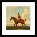 One of Four Portraits of Horses - a Chestnut Racehorse with Jockey Up by James Seymour