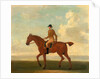 One of Four Portraits of Horses - a Chestnut Racehorse with Jockey Up by James Seymour