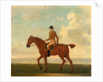 One of Four Portraits of Horses - a Chestnut Racehorse with Jockey Up by James Seymour