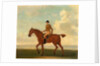 One of Four Portraits of Horses - a Chestnut Racehorse with Jockey Up by James Seymour