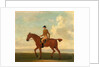 One of Four Portraits of Horses - a Chestnut Racehorse with Jockey Up by James Seymour