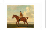 One of Four Portraits of Horses - a Chestnut Racehorse with Jockey Up by James Seymour