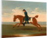 One of Four Portraits of Horses - a Chestnut Racehorse Exercised by a Trainer in a Blue Coat by James Seymour