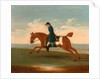 One of Four Portraits of Horses - a Chestnut Racehorse Exercised by a Trainer in a Blue Coat by James Seymour