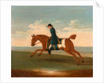 One of Four Portraits of Horses - a Chestnut Racehorse Exercised by a Trainer in a Blue Coat by James Seymour