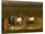 The Stables and Two Famous Running Horses belonging to His Grace, the Duke of Bolton Two Horses in a Stable with a Groom Two Horses and a Groom in a Stable by James Seymour