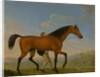 The Duke of Ancaster's Bay Stallion, Blank, Walking Towards a Mare King Herod by William Shaw