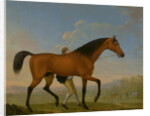 The Duke of Ancaster's Bay Stallion, Blank, Walking Towards a Mare King Herod by William Shaw