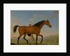 The Duke of Ancaster's Bay Stallion, Blank, Walking Towards a Mare King Herod by William Shaw