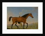 The Duke of Ancaster's Bay Stallion, Blank, Walking Towards a Mare King Herod by William Shaw
