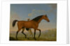 The Duke of Ancaster's Bay Stallion, Blank, Walking Towards a Mare King Herod by William Shaw