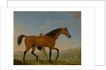 The Duke of Ancaster's Bay Stallion, Blank, Walking Towards a Mare King Herod by William Shaw