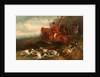Foxhunting: Breaking Cover by William J. Shayer