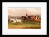 Steeplechasing: The Brook by William J. Shayer