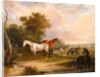 Horses Grazing: a Grey Stallion Grazing with Mares in a Meadow by Calcraft Turner