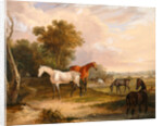 Horses Grazing: a Grey Stallion Grazing with Mares in a Meadow by Calcraft Turner