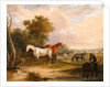 Horses Grazing: a Grey Stallion Grazing with Mares in a Meadow by Calcraft Turner